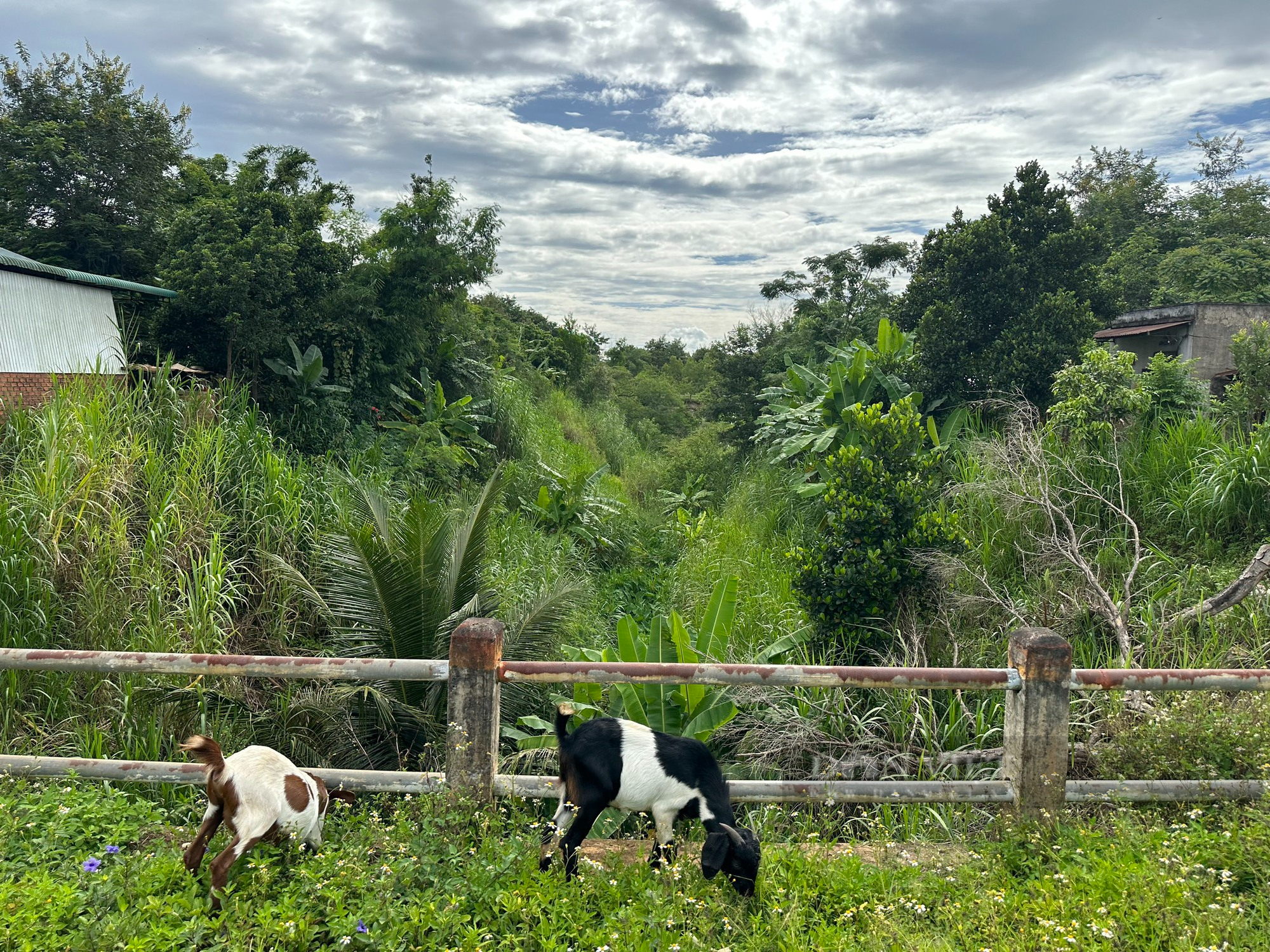 Vụ kênh dẫn nước thấp hơn mặt ruộng ở Đắk Lắk: Chi gần 1 tỷ đồng sửa chữa rồi lại &quot;đắp chiếu&quot; - Ảnh 1.