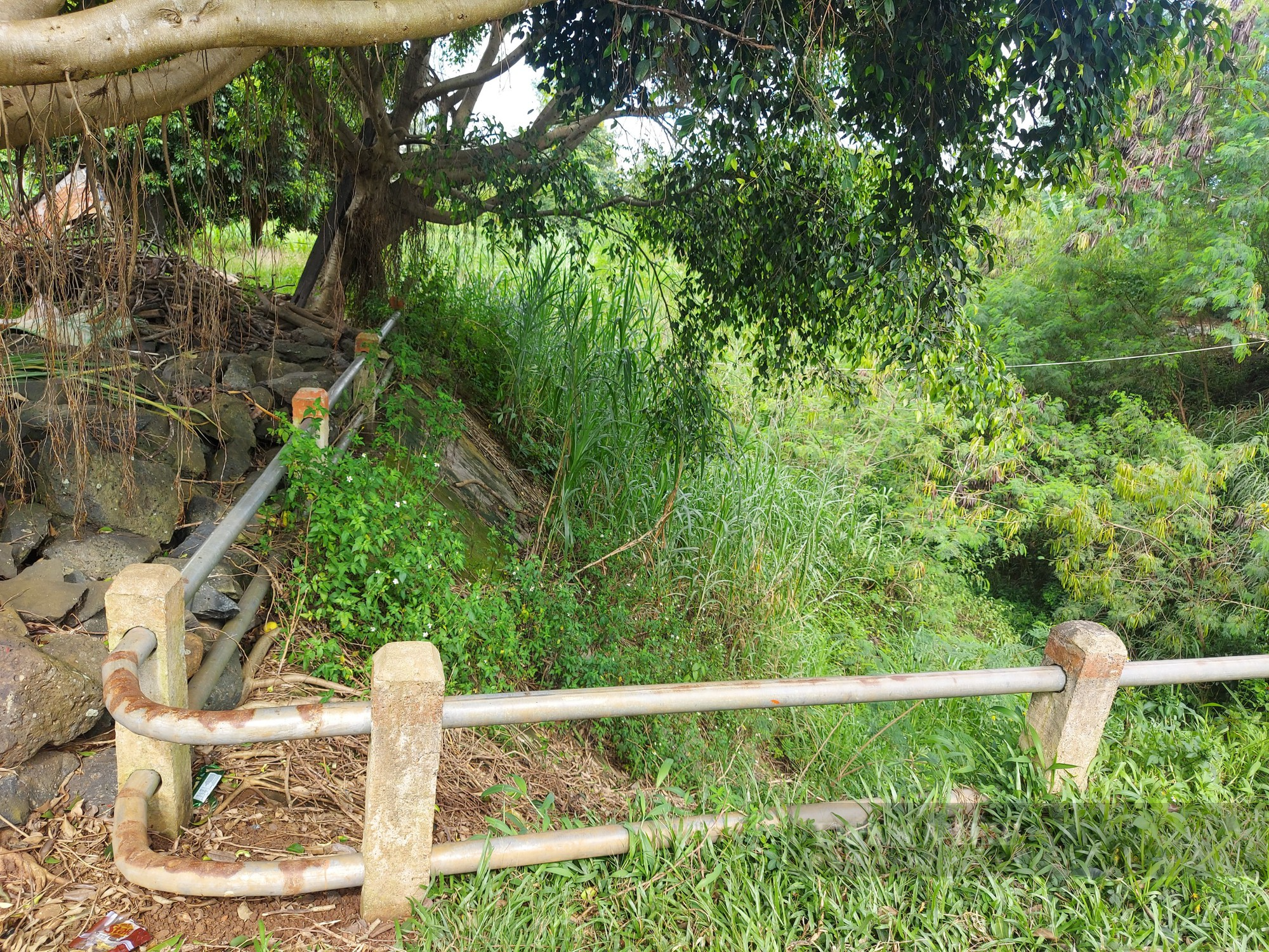 Vụ kênh dẫn nước thấp hơn mặt ruộng ở Đắk Lắk: Chi gần 1 tỷ đồng sửa chữa rồi lại &quot;đắp chiếu&quot; - Ảnh 1.