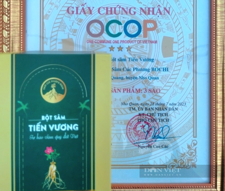 Ninh Bình: Bất ngờ trồng giống sâm Bố Chính trên đất đồi bỏ túi 200 triệu đồng/ha - Ảnh 8.