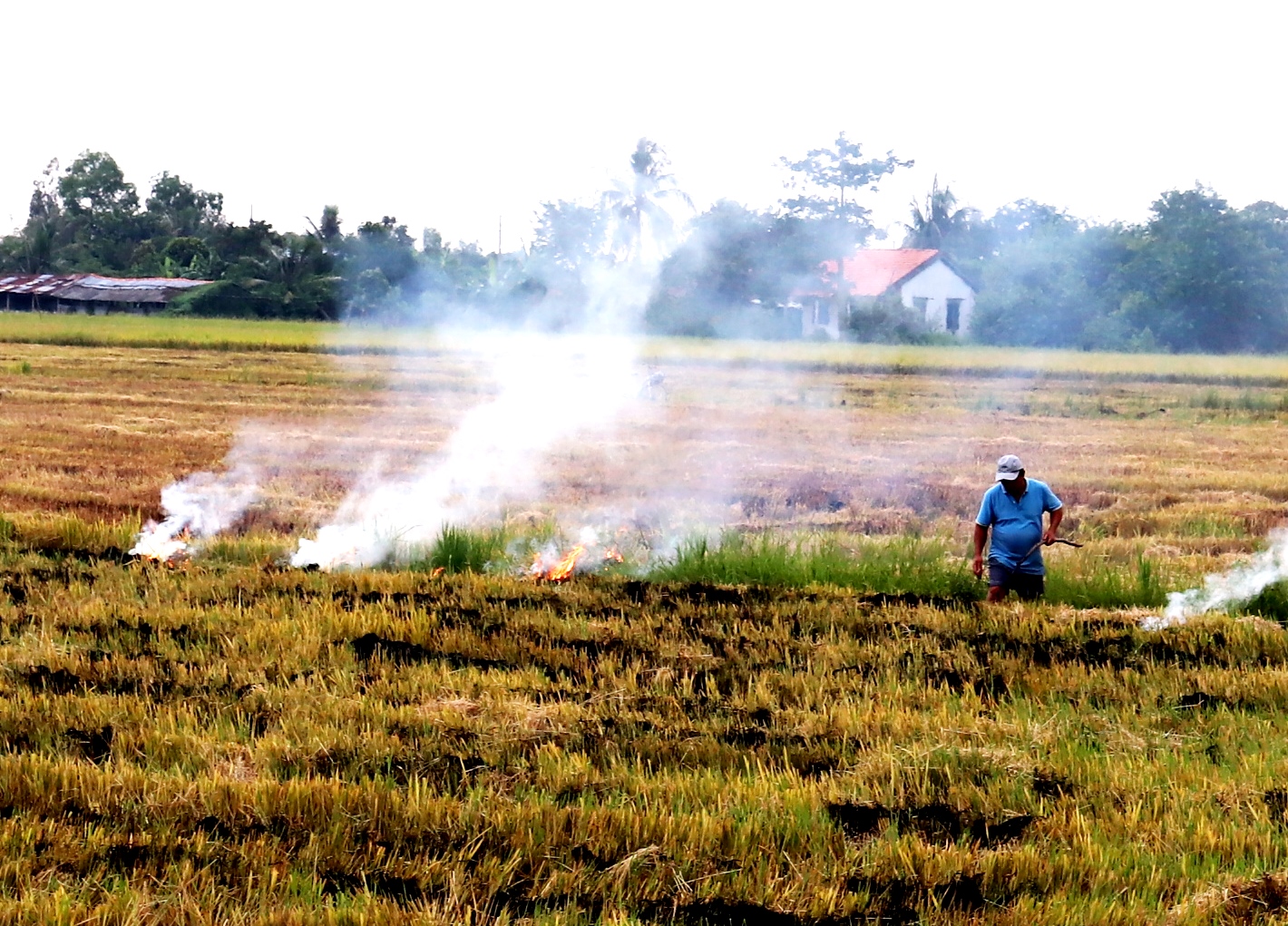 Kể chuyện làng: Nhớ mùi khói đốt đồng chiều quê - Ảnh 2.