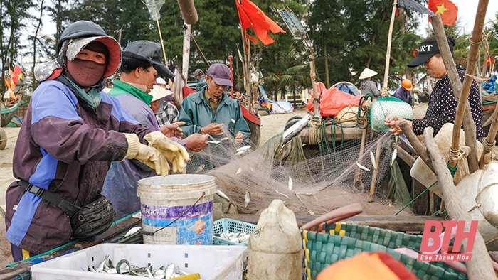 Đi chợ hải sản giữa lòng phố biển - Ảnh 2.