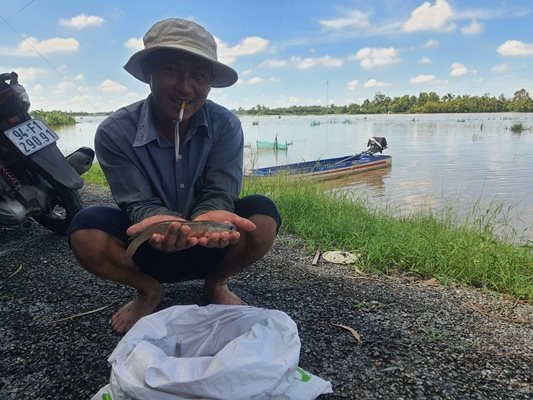 Đồng tràn nước, dân một nơi ở Bạc Liêu rủ nhau đi đẩy côn, xúc bắt vô số loại cá gì ví như sản vật - Ảnh 3.