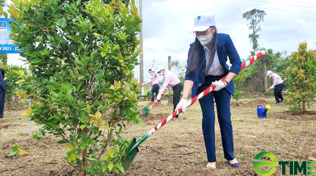 Quảng Ngãi chi nhiều trăm triệu “may áo” cho đất trống hành lang giao thông, trụ sở, trường học - Ảnh 1.