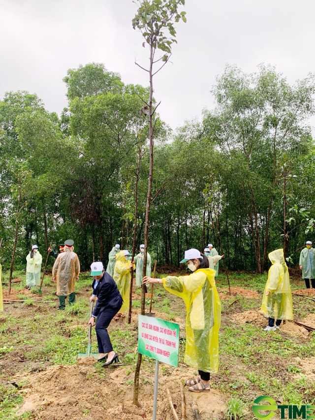 Quảng Ngãi chi nhiều trăm triệu “may áo” cho đất trống hành lang giao thông, trụ sở, trường học - Ảnh 6.