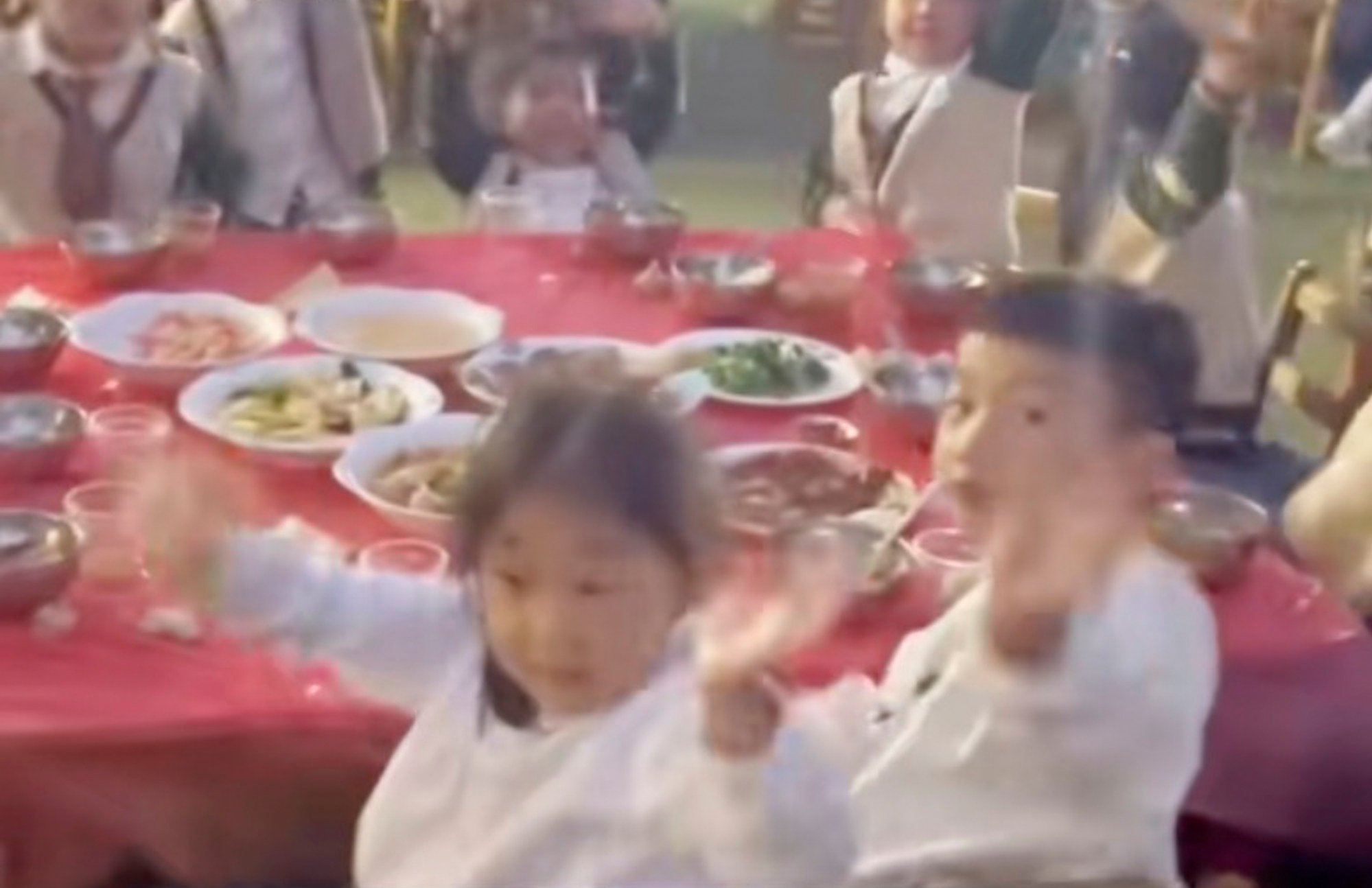 Trẻ em Trung Quốc tổ chức đám cưới cho thú cưng - Ảnh 3.