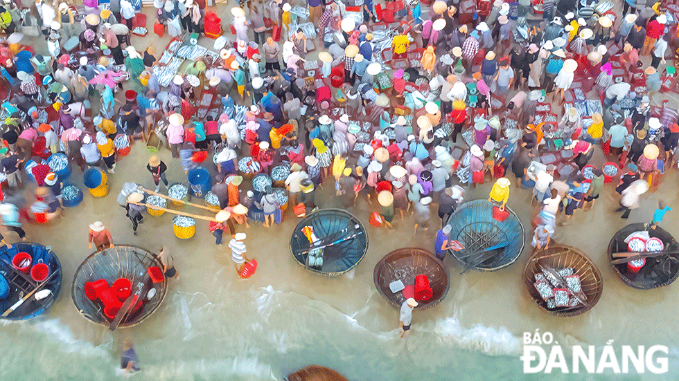 Một cái chợ cách TP Tam Kỳ 15km, cá tôm la liệt, tiếng mua bán rôm rả bên sóng biển, tấp nập nhất Quảng Nam - Ảnh 3.