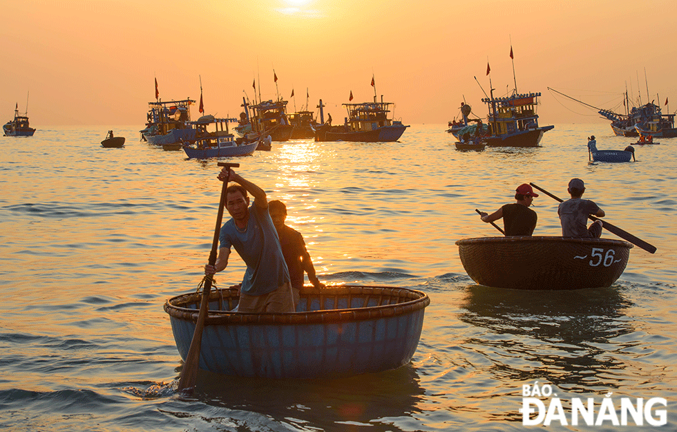 Một cái chợ cách TP Tam Kỳ 15km, cá tôm la liệt, tiếng mua bán rôm rả bên sóng biển, tấp nập nhất Quảng Nam - Ảnh 4.