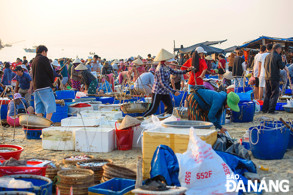 Một cái chợ cách TP Tam Kỳ 15km, cá tôm la liệt, tiếng mua bán rôm rả bên sóng biển, tấp nập nhất Quảng Nam - Ảnh 5.