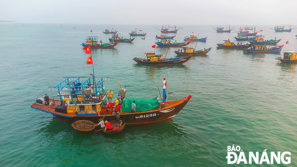 Một cái chợ cách TP Tam Kỳ 15km, cá tôm la liệt, tiếng mua bán rôm rả bên sóng biển, tấp nập nhất Quảng Nam - Ảnh 8.