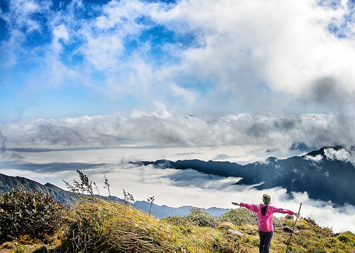 Ngọn núi cao 2913m so với mặt nước biển ở Yên Bái, tha hồ săn mây, cảnh đẹp như phim, người ta đang lên xem - Ảnh 3.