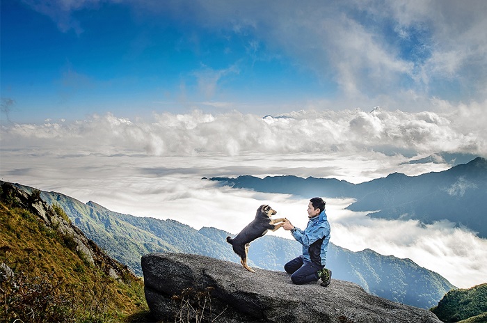 Ngọn núi cao 2913m so với mặt nước biển ở Yên Bái, tha hồ săn mây, cảnh đẹp như phim, người ta đang lên xem - Ảnh 4.
