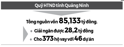 Tiếp sức hội viên xây dựng thương hiệu nông sản - Ảnh 2.