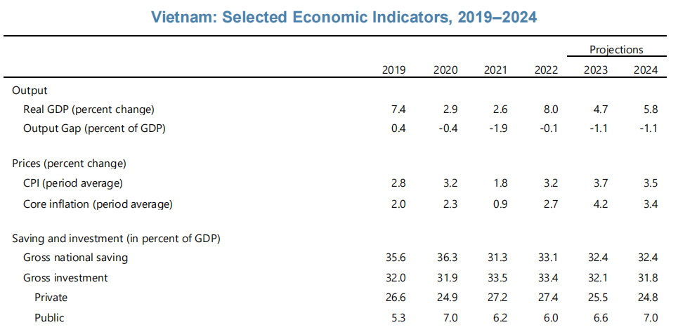 Lý do IMF cho rằng Việt Nam cần áp dụng chính sách tài khóa mở rộng  - Ảnh 1.