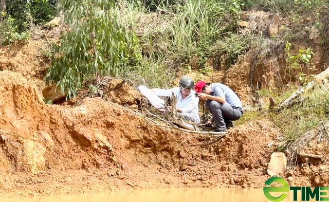 Sở TNMT Quảng Ngãi kết luận gì về phản ánh sai phạm tại mỏ đất của Công ty Việt Đức? - Ảnh 5.