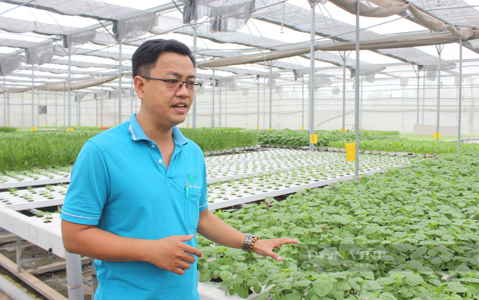 HTX Tuấn Ngọc (TP.Thủ Đức) ứng dụng công nghệ tự động hóa để trồng rau thủy canh trong nhà kính. Ảnh: Nguyên Vỹ