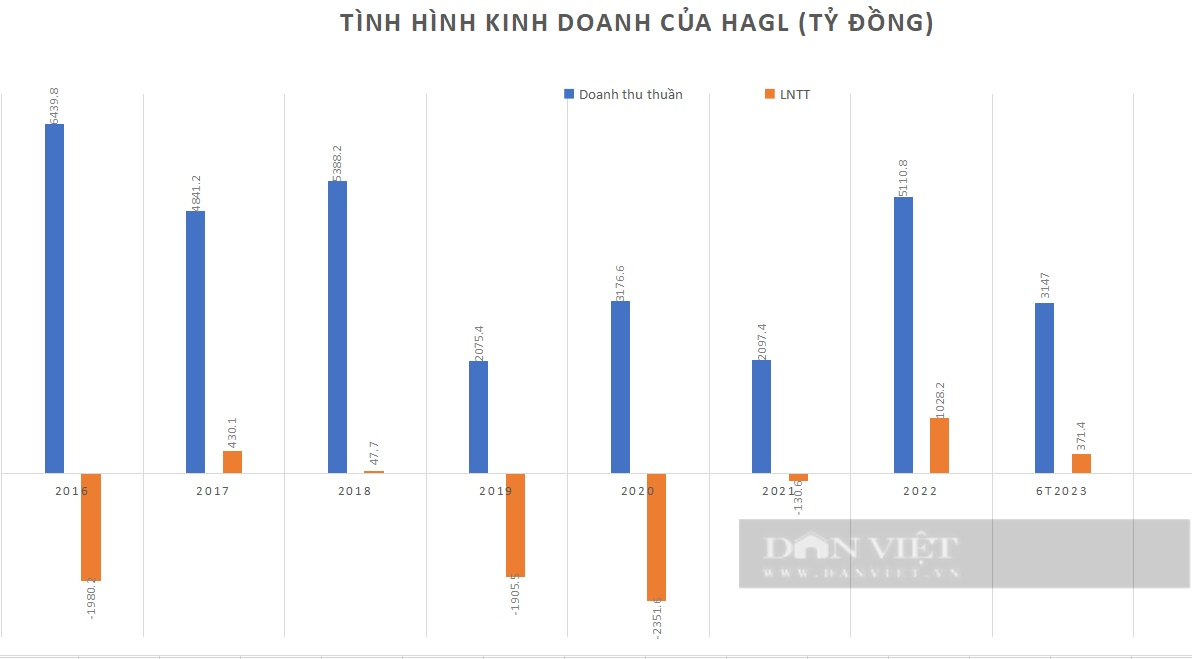 Bầu Đức muốn bán khách sạn &quot;nổi nhất&quot; Tây Nguyên để trả nợ: Tình hình tài chính của HAG ra sao? - Ảnh 2.