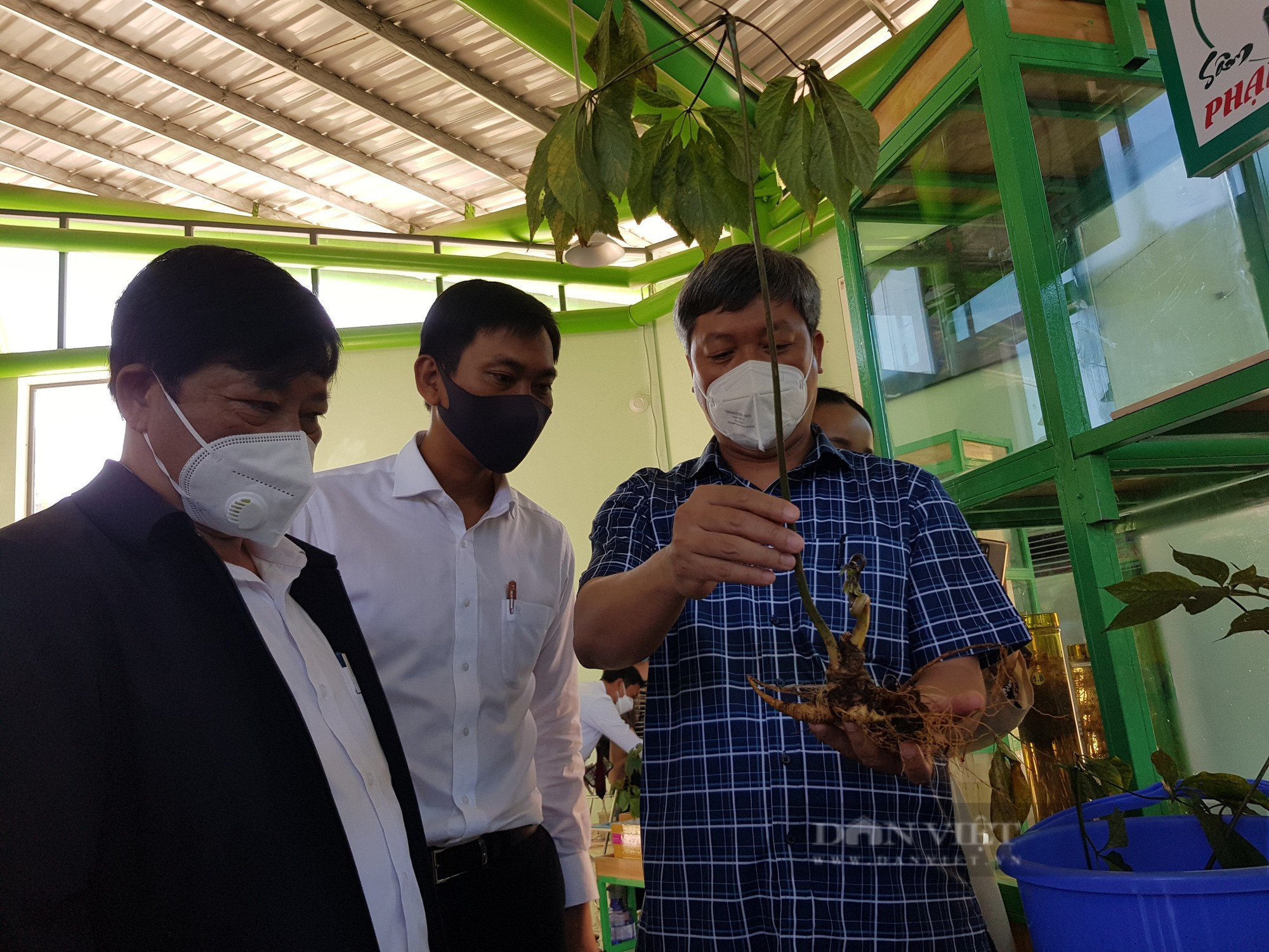 Quảng Nam đề nghị lập các chuyên án điều tra đối với đường dây, tụ điểm kinh doanh các sản phẩm sâm giả - Ảnh 6.