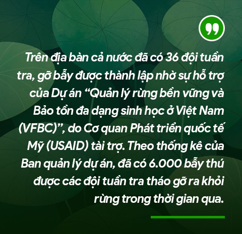 Những &quot;hiệp sĩ&quot; nông dân dưới tán rừng già - Ảnh 7.