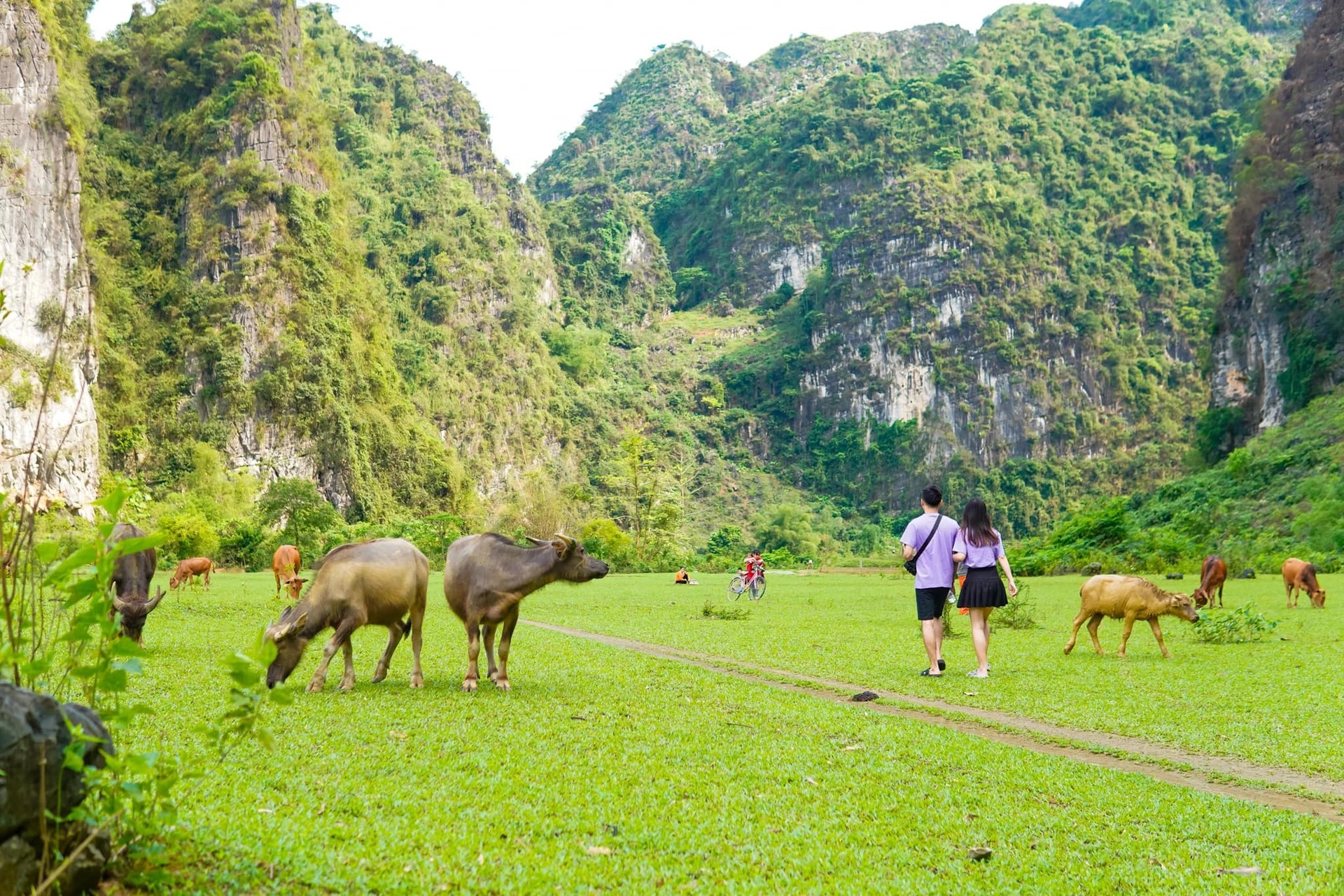 Có một &quot;thảo nguyên Mông Cổ&quot; cách Hà Nội 2 giờ chạy xe - Ảnh 7.