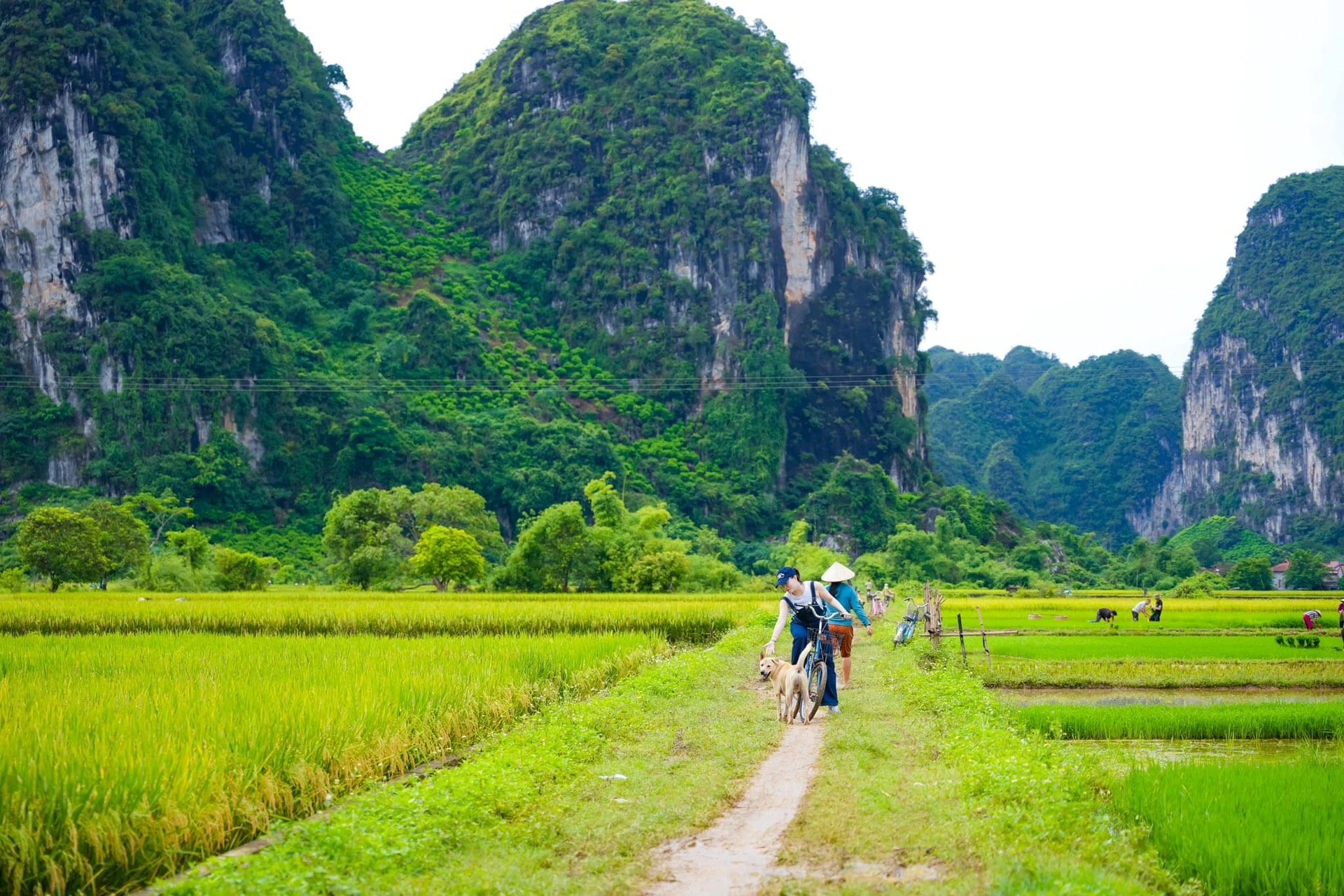 Có một &quot;thảo nguyên Mông Cổ&quot; cách Hà Nội 2 giờ chạy xe - Ảnh 5.