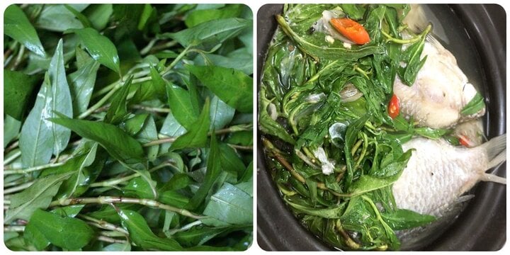 Loại rau gia vị quen thuộc trong bữa ăn hàng ngày của người Việt, song không phải ai cũng biết tác dụng - Ảnh 1.