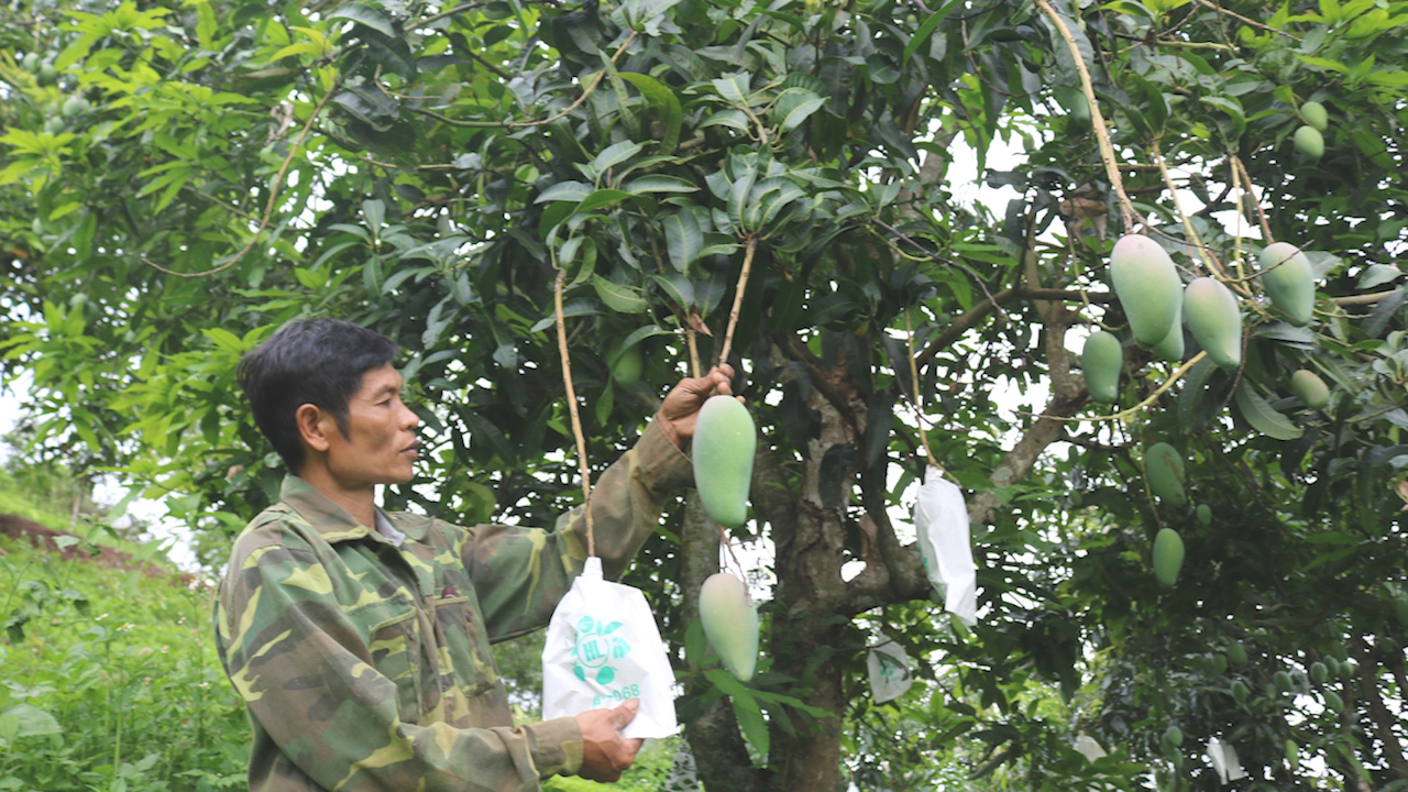 Phát triển các mô hình kinh tế phù hợp, đem lại thu nhập cho hội viên nông dân - Ảnh 5.