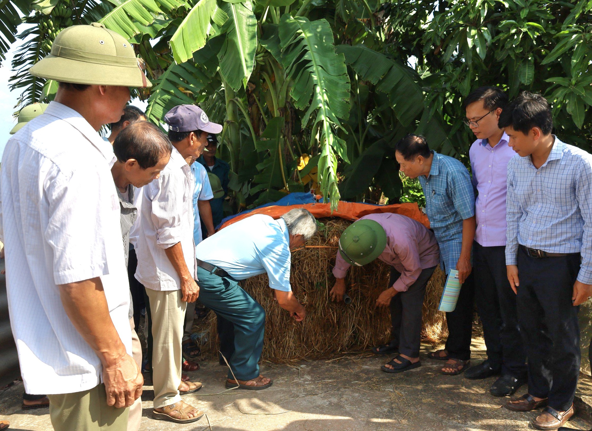 Ninh Bình: Gần 50 cán bộ, hội viên nông dân tham quan các mô hình xử lý rác hữu cơ - Ảnh 3.