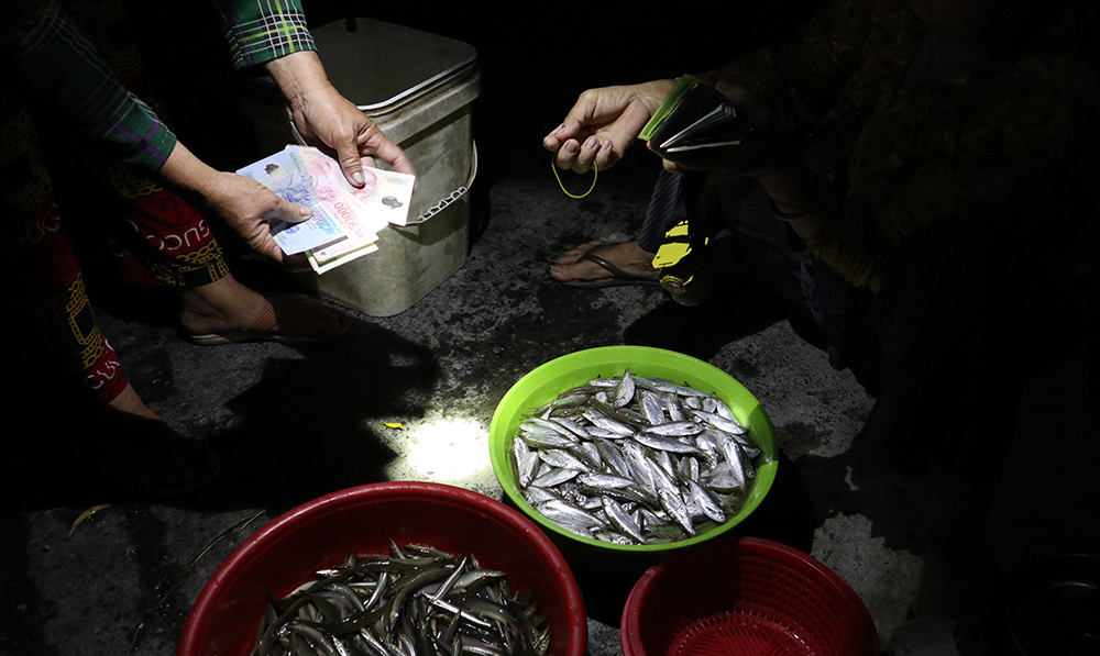 Mùa nước nổi An Giang, nước tràn đồng, rọi đèn pin thấy dân bắt được cá linh, cá mè vinh tươi rói - Ảnh 10.