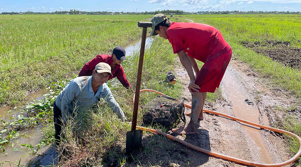 Mùa nước nổi An Giang, nước tràn đồng, rọi đèn pin thấy dân bắt được cá linh, cá mè vinh tươi rói - Ảnh 12.