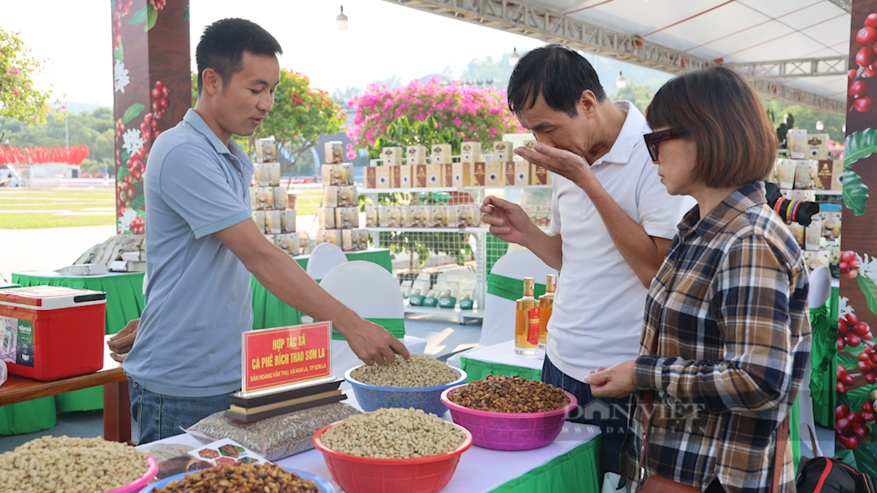 Gala Cà phê Sơn La - kết nối đam mê và lan tỏa hương vị núi rừng Tây Bắc - Ảnh 6.