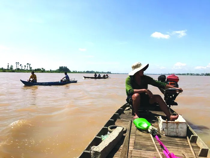 Dong duổi trên sông Tiền tìm bắt loài cá &quot;cực phẩm&quot;, &quot;nhất dáng nhì da&quot; mà mang cái tên &quot;xấu&quot; - Ảnh 1.