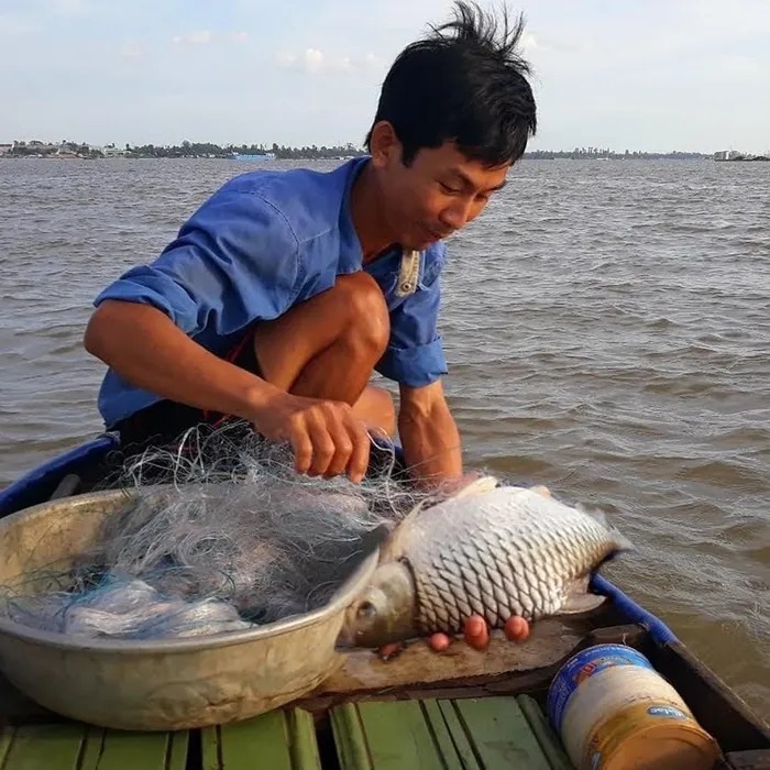 Dong duổi trên sông Tiền tìm bắt loài cá "cực phẩm", "nhất dáng nhì da" mà mang cái tên "xấu" - Ảnh 2.
