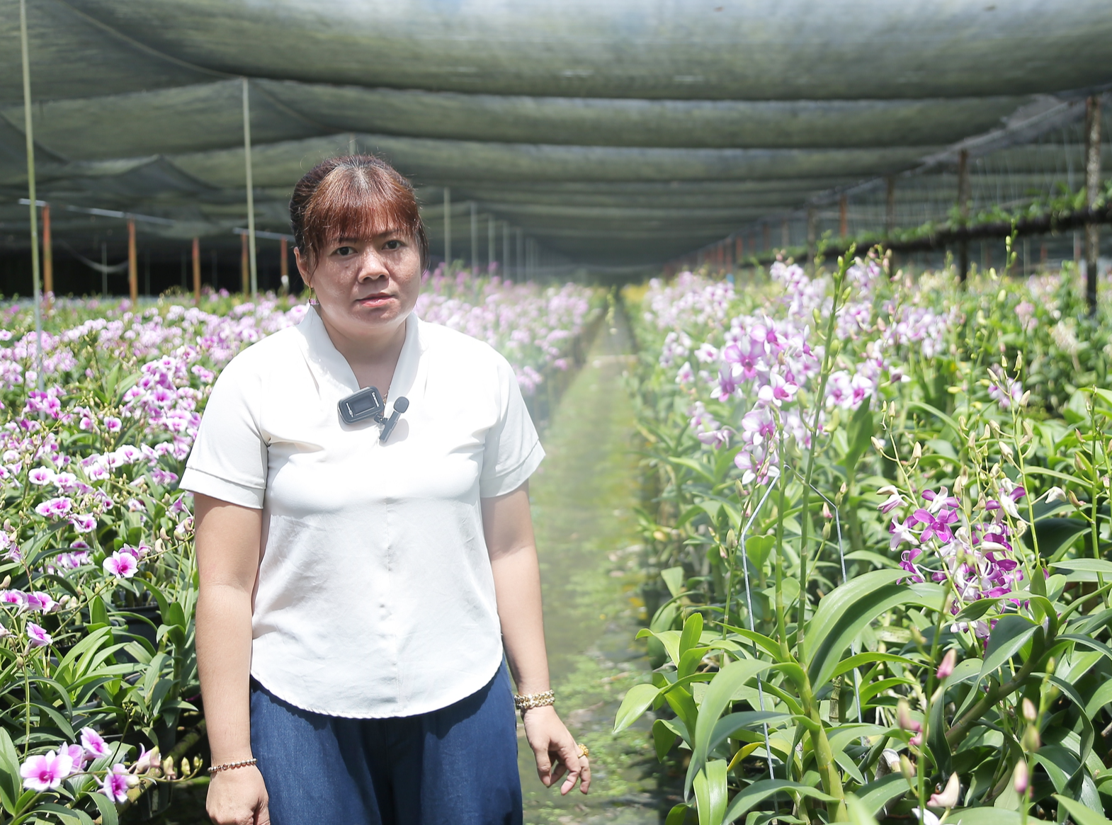 Câu chuyện về nữ nông dân bỏ việc văn phòng, trồng lan thu tiền tỷ, được TP.HCM vinh danh - Ảnh 6.