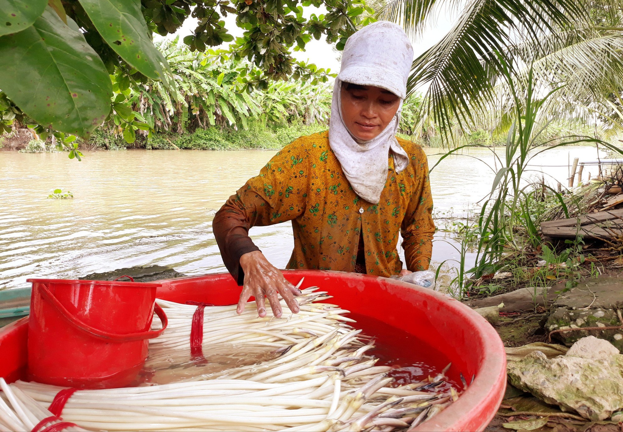 Phụ nữ đồng bào Khmer ở Sóc Trăng áp dụng nhiều mô hình phát triển kinh tế gia đình - Ảnh 1.