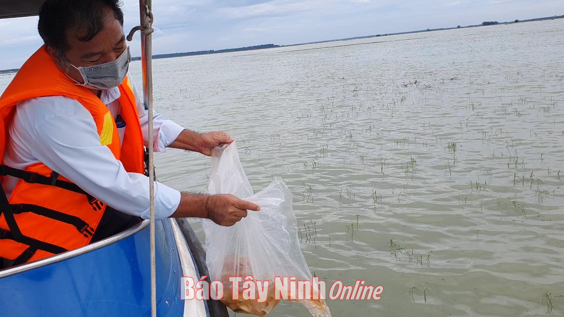 Từ ngày 26.10 đến hết ngày 26.11.2023, Tây Ninh nghiêm cấm khai thác thủy sản trên hồ Dầu Tiếng, vì sao vậy? - Ảnh 1.