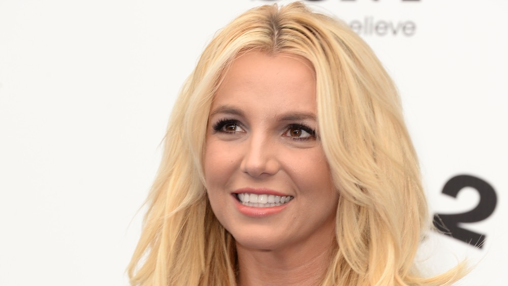 Britney Spears: &quot;Tôi không muốn xúc phạm bất kỳ ai&quot; - Ảnh 1.