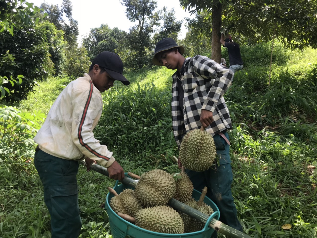 Khánh Hòa: tổng dư nợ các chương trình tín dụng chính sách đạt hơn 4.000 tỷ đồng - Ảnh 1.