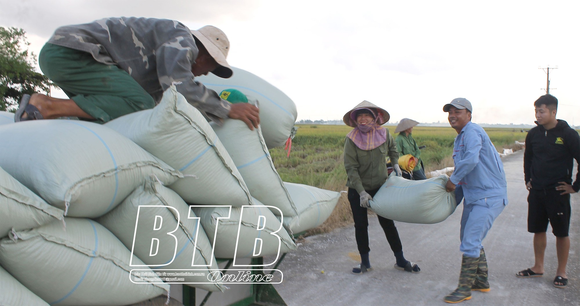 Anh nông dân Thái Bình có nhiều thóc nhất huyện, mỗi vụ cả trăm tấn - Ảnh 2.
