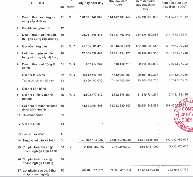 Thủy điện Buôn Đôn (BSA): Trữ tiền giảm mạnh, 9 tháng hoàn thành 98% kế hoạch năm  - Ảnh 1.