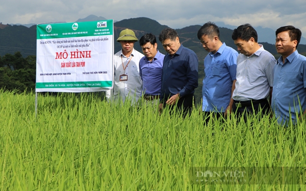 30 năm hệ thống khuyến nông Việt Nam: “Sợi chỉ đỏ” đưa nền nông nghiệp cất cánh