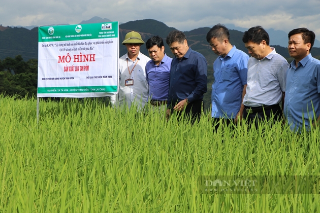 30 năm hệ thống Khuyến nông Việt Nam: “Sợi chỉ đỏ” đưa nền nông nghiệp cất cánh - Ảnh 1.