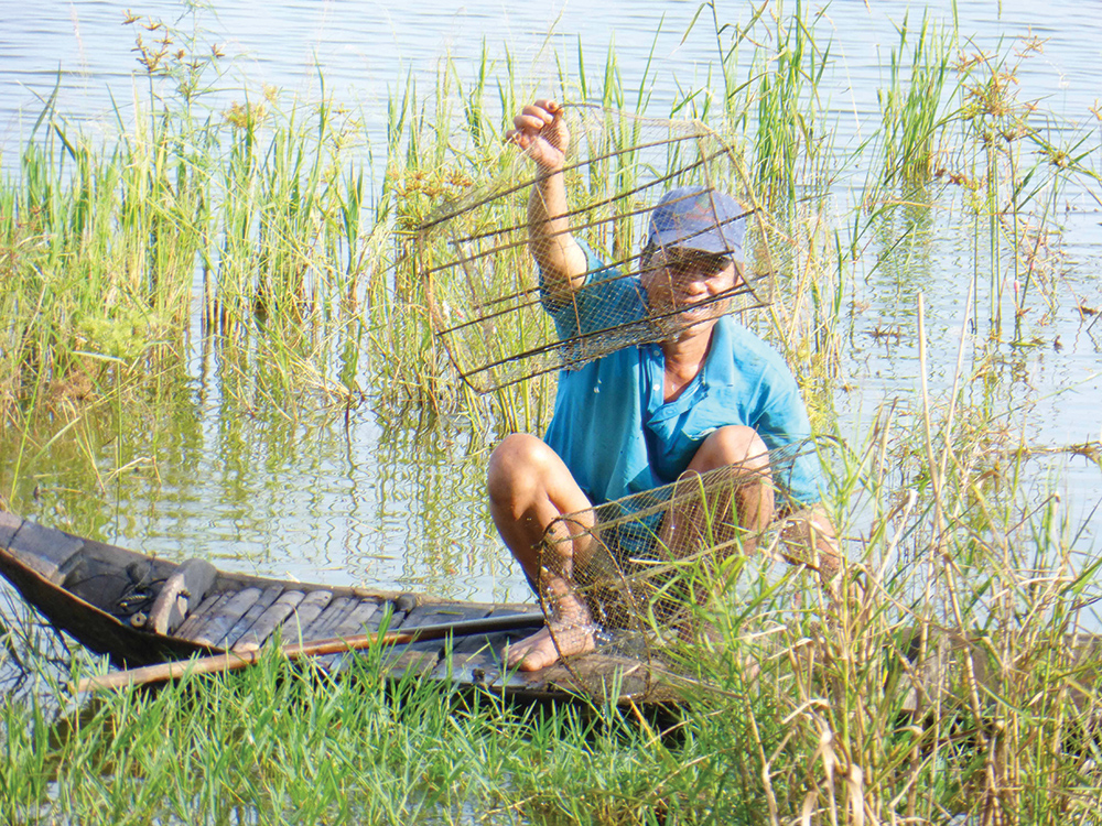 Cái chợ &quot;chồm hổm&quot; ở An Giang, dân bắt tôm sông to bự nhảy tanh tách bán rôm rả mùa nước nổi - Ảnh 1.
