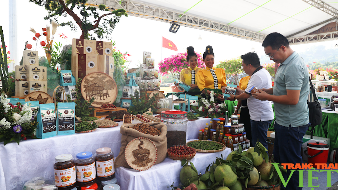 Hội chợ &quot;Cà phê Sơn La - Hội nhập và phát triển&quot; - Ảnh 11.