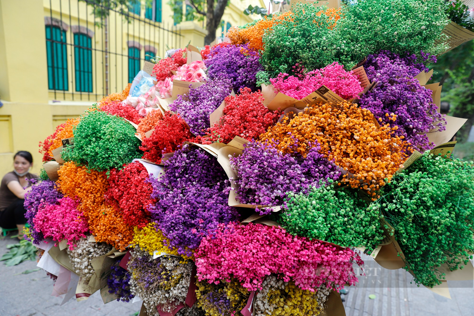 Loài hoa bông nhỏ li ti như hạt gạo với đủ sắc màu xuống phố Hà Nội với giá cao ngất ngưởng  - Ảnh 2.