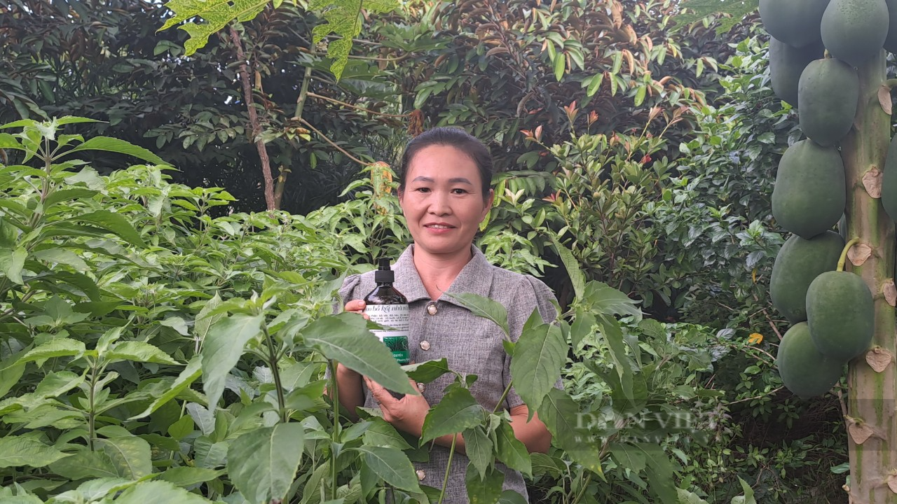 Tận dụng thảo dược trong vườn nhà, người phụ nữ Thái Nguyên làm ra loại dầu gội thảo dược vạn người mê - Ảnh 2.
