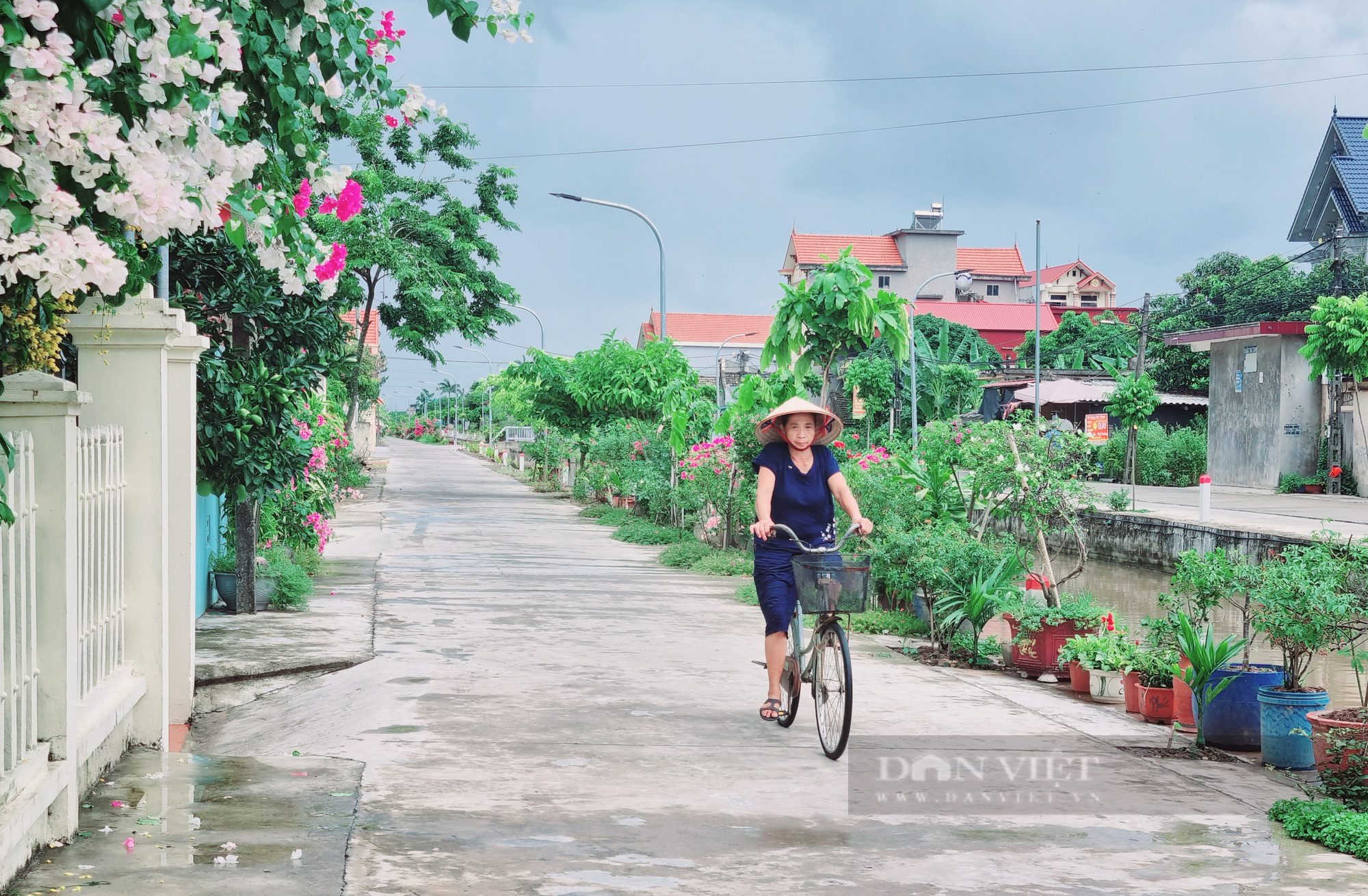 Ninh Bình: Đồng bào công giáo xã Hồi Ninh tích cực xây dựng nông thôn mới năng cao - Ảnh 5.