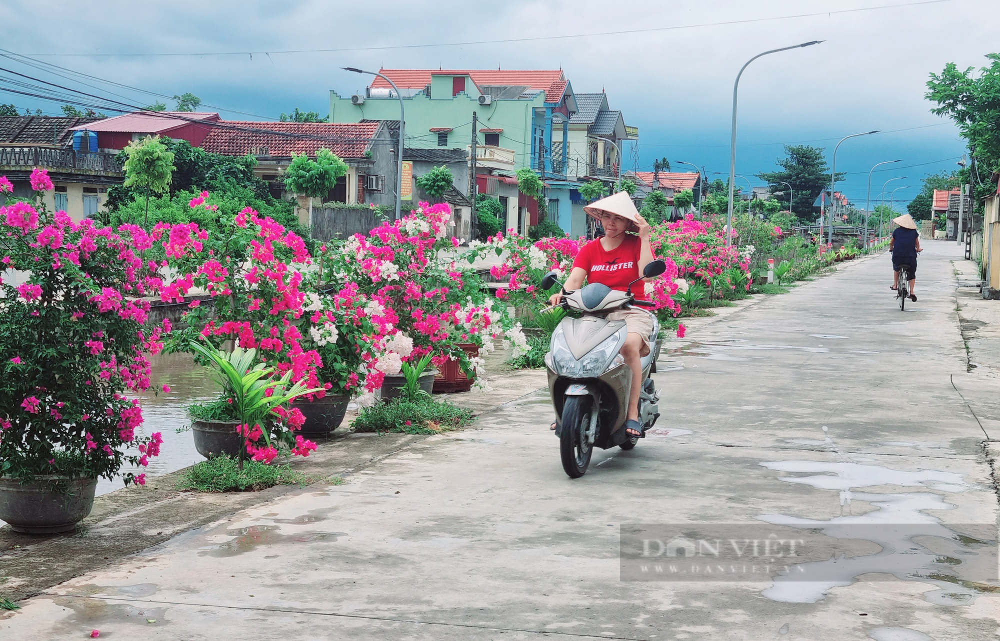 Ninh Bình: Đồng bào công giáo xã Hồi Ninh tích cực xây dựng nông thôn mới năng cao - Ảnh 7.