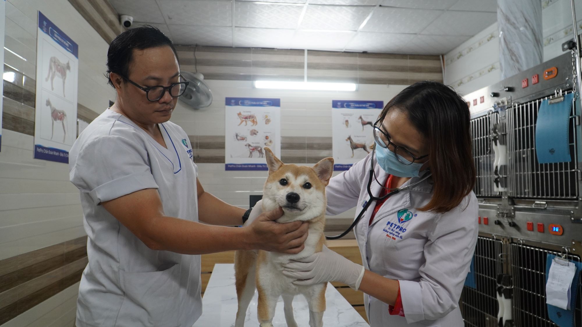 Bệnh viện chăm sóc thú cưng lưu động đầu tiên ở Sài Gòn - Ảnh 5.