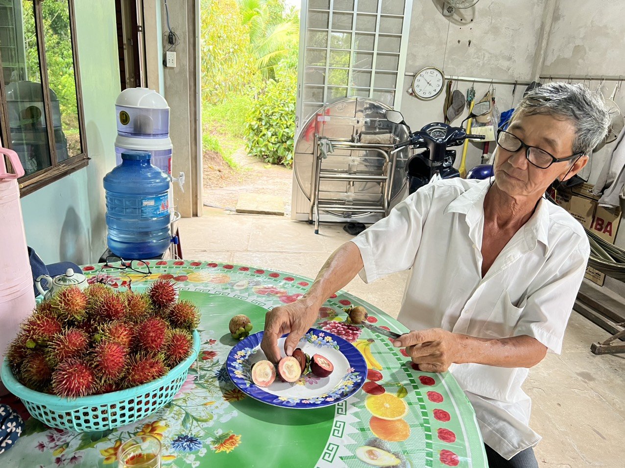 &quot;Cha đẻ&quot; giống sầu riêng sữa cơm vàng hạt lép Chín Hóa công bố giống măng cụt hạt lép mới - Ảnh 2.