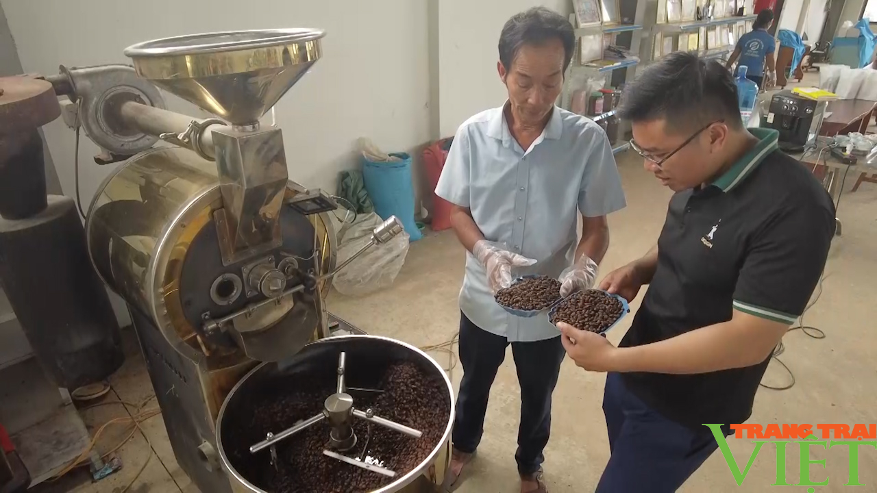 Cây cà phê, cây công nghiệp chủ lực của nông dân Sơn La - Ảnh 5.